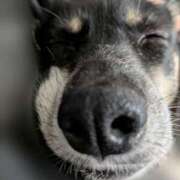 ヒメ日記 2025/11/25 21:04 投稿 みこ ソープランド メイド館 ラ・メイド