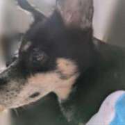 ヒメ日記 2025/11/27 10:04 投稿 みこ ソープランド メイド館 ラ・メイド