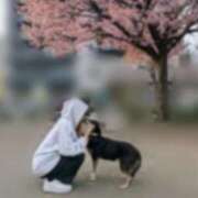 ヒメ日記 2026/04/26 18:06 投稿 みこ ソープランド メイド館 ラ・メイド