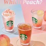 ヒメ日記 2025/08/14 16:18 投稿 花純（かすみ）　りさ ソープランド メイド館 ラ・メイド