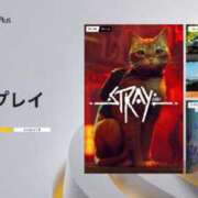 ヒメ日記 2025/11/04 10:49 投稿 花純（かすみ）　りさ ソープランド メイド館 ラ・メイド