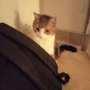 ヒメ日記 2025/06/15 21:34 投稿 白鳥（しらとり）　みゆき ソープランド メイド館 ラ・メイド