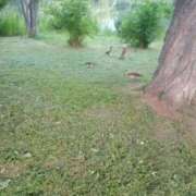 ヒメ日記 2025/07/05 15:36 投稿 白鳥（しらとり）　みゆき ソープランド メイド館 ラ・メイド