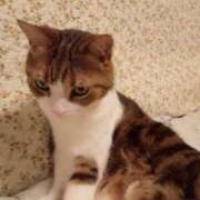 ヒメ日記 2025/07/13 20:21 投稿 白鳥（しらとり）　みゆき ソープランド メイド館 ラ・メイド