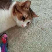 ヒメ日記 2025/07/19 09:15 投稿 白鳥（しらとり）　みゆき ソープランド メイド館 ラ・メイド