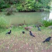 ヒメ日記 2025/08/01 15:00 投稿 白鳥（しらとり）　みゆき ソープランド メイド館 ラ・メイド