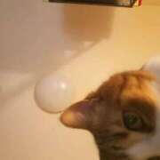 ヒメ日記 2025/08/09 21:30 投稿 白鳥（しらとり）　みゆき ソープランド メイド館 ラ・メイド