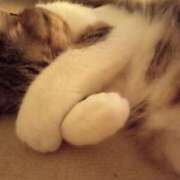 ヒメ日記 2025/08/14 21:00 投稿 白鳥（しらとり）　みゆき ソープランド メイド館 ラ・メイド