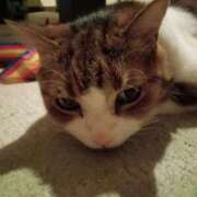 ヒメ日記 2025/08/25 20:48 投稿 白鳥（しらとり）　みゆき ソープランド メイド館 ラ・メイド