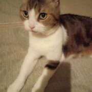 ヒメ日記 2025/08/30 20:21 投稿 白鳥（しらとり）　みゆき ソープランド メイド館 ラ・メイド