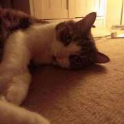 ヒメ日記 2025/09/12 21:13 投稿 白鳥（しらとり）　みゆき ソープランド メイド館 ラ・メイド