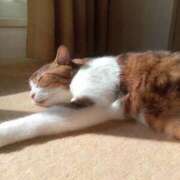 ヒメ日記 2025/09/27 14:12 投稿 白鳥（しらとり）　みゆき ソープランド メイド館 ラ・メイド