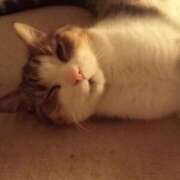 ヒメ日記 2025/10/05 22:21 投稿 白鳥（しらとり）　みゆき ソープランド メイド館 ラ・メイド