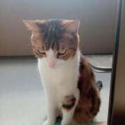 ヒメ日記 2025/10/10 21:45 投稿 白鳥（しらとり）　みゆき ソープランド メイド館 ラ・メイド