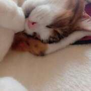 ヒメ日記 2025/10/18 21:45 投稿 白鳥（しらとり）　みゆき ソープランド メイド館 ラ・メイド