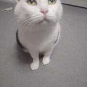 ヒメ日記 2025/10/31 15:48 投稿 白鳥（しらとり）　みゆき ソープランド メイド館 ラ・メイド