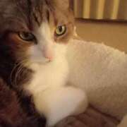 ヒメ日記 2025/11/02 21:49 投稿 白鳥（しらとり）　みゆき ソープランド メイド館 ラ・メイド