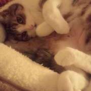 ヒメ日記 2025/11/23 22:12 投稿 白鳥（しらとり）　みゆき ソープランド メイド館 ラ・メイド