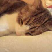 ヒメ日記 2025/11/29 21:20 投稿 白鳥（しらとり）　みゆき ソープランド メイド館 ラ・メイド