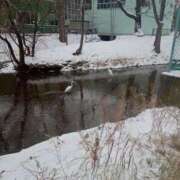 ヒメ日記 2025/12/05 10:33 投稿 白鳥（しらとり）　みゆき ソープランド メイド館 ラ・メイド