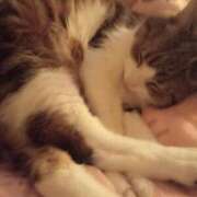 ヒメ日記 2026/01/17 21:49 投稿 白鳥（しらとり）　みゆき ソープランド メイド館 ラ・メイド