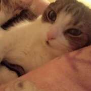 ヒメ日記 2026/02/16 22:34 投稿 白鳥（しらとり）　みゆき ソープランド メイド館 ラ・メイド