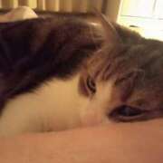 ヒメ日記 2026/02/21 21:34 投稿 白鳥（しらとり）　みゆき ソープランド メイド館 ラ・メイド