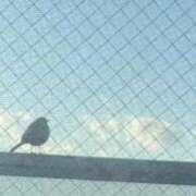 ヒメ日記 2025/12/11 00:34 投稿 mia(みあ) ソープランド ラ・メイド neo