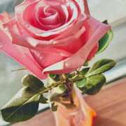 ヒメ日記 2025/12/28 16:34 投稿 mia(みあ) ソープランド ラ・メイド neo