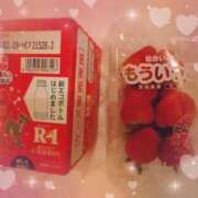 ヒメ日記 2026/01/31 15:39 投稿 mia(みあ) ソープランド ラ・メイド neo