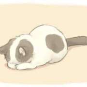 ヒメ日記 2026/03/03 16:14 投稿 mia(みあ) ソープランド ラ・メイド neo