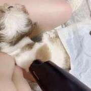 ヒメ日記 2025/01/20 20:15 投稿 剛力彩花 ソープランド ラ・メイド neo