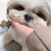 ヒメ日記 2025/03/16 17:50 投稿 剛力彩花 ソープランド ラ・メイド neo