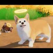 ヒメ日記 2025/03/25 20:10 投稿 剛力彩花 ソープランド ラ・メイド neo