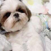 ヒメ日記 2025/03/29 21:14 投稿 剛力彩花 ソープランド ラ・メイド neo