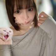 ヒメ日記 2025/04/15 23:08 投稿 剛力彩花 ソープランド ラ・メイド neo