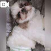 ヒメ日記 2025/05/31 21:44 投稿 剛力彩花 ソープランド ラ・メイド neo