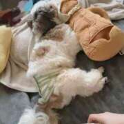 ヒメ日記 2025/06/17 19:04 投稿 剛力彩花 ソープランド ラ・メイド neo