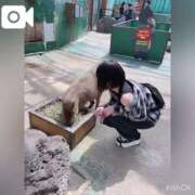 ヒメ日記 2025/06/30 13:29 投稿 剛力彩花 ソープランド ラ・メイド neo