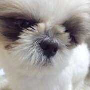 ヒメ日記 2025/09/29 22:54 投稿 剛力彩花 ソープランド ラ・メイド neo