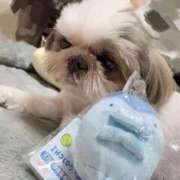 ヒメ日記 2025/09/30 19:21 投稿 剛力彩花 ソープランド ラ・メイド neo