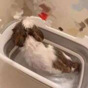 ヒメ日記 2025/10/23 02:14 投稿 剛力彩花 ソープランド ラ・メイド neo