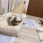 ヒメ日記 2025/10/31 19:49 投稿 剛力彩花 ソープランド ラ・メイド neo