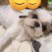 ヒメ日記 2025/11/21 21:14 投稿 剛力彩花 ソープランド ラ・メイド neo