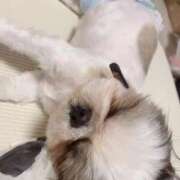 ヒメ日記 2025/11/27 04:34 投稿 剛力彩花 ソープランド ラ・メイド neo