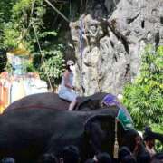 ヒメ日記 2025/11/29 06:44 投稿 剛力彩花 ソープランド ラ・メイド neo