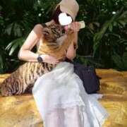 ヒメ日記 2025/11/29 07:34 投稿 剛力彩花 ソープランド ラ・メイド neo