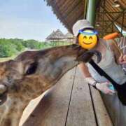 ヒメ日記 2025/11/29 07:44 投稿 剛力彩花 ソープランド ラ・メイド neo