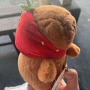 ヒメ日記 2025/11/29 08:14 投稿 剛力彩花 ソープランド ラ・メイド neo