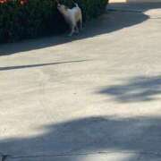 ヒメ日記 2025/11/29 11:37 投稿 剛力彩花 ソープランド ラ・メイド neo